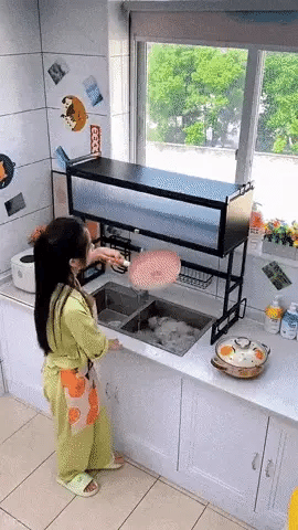 DrySpace™ – Escurridor de Platos Multifuncional