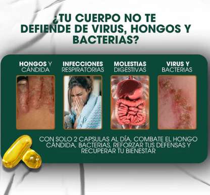 Oil of Oregano en cápsulas